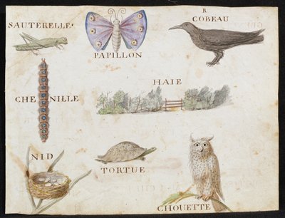 Illustraties uit 